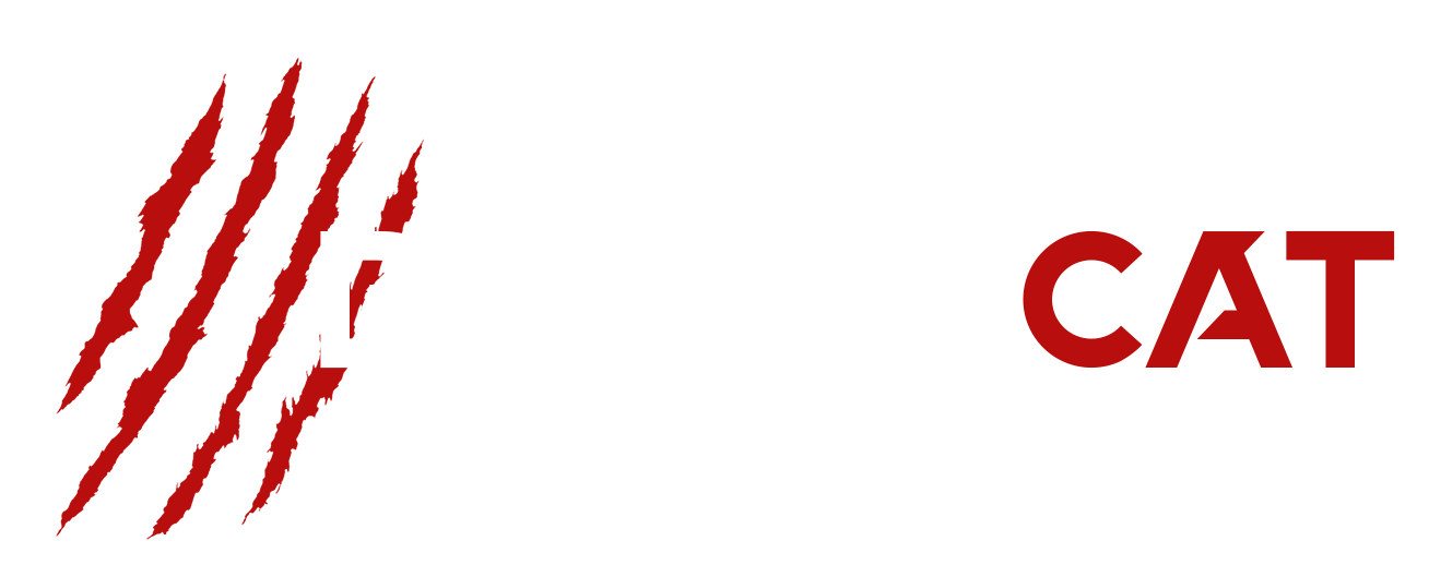 Cindy "Battlecat" Dandois